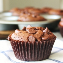 Chocolate Pb Muffins