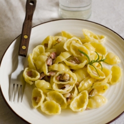 Creamy Conchiglie with Gorgonzola