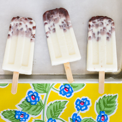 Coconut Ice Pops