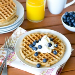 Cinnamon Heart Healthy Waffles