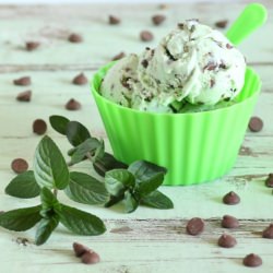 Mint Chocolate Chip Ice Cream