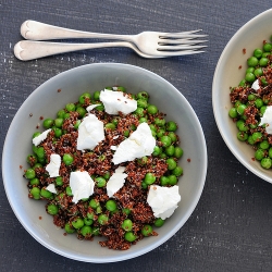 Warm sprouted quinoa salad