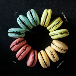 Four Season Macaron