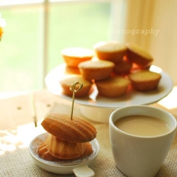 Madeleines