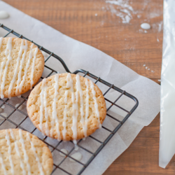 Lime-Alicious Cookies