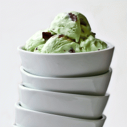 Mint Chocolate Ice Cream