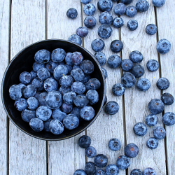 50 blueberry recipes