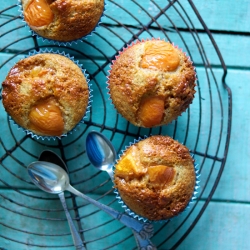 Apricot Muffins