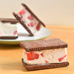 Coconut Milk Ice Cream Sandwiches