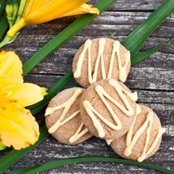 Swedish Ginger Cookies