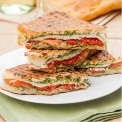 Turkey and Pesto Panini