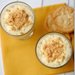 Skinny Tropical Pudding Cups