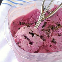 Blackberry Chip Ice Cream