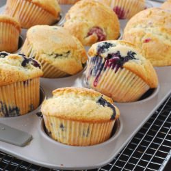 Blythe’s Blueberry Muffins