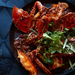 Chilli blue swimmer crabs