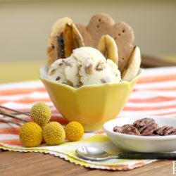 Homemade Pecan Pie Ice Cream