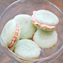 Pistachio Rose French Macarons