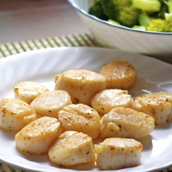 Seared Scallops in Butter