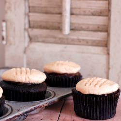 Chocolate Cupcakes