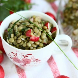 Lentil Salad with Mozzarella