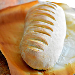 Rustic Italian Bread