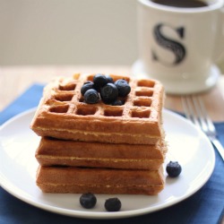 Sour Cream Waffles