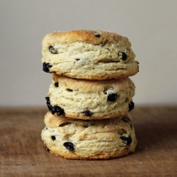 Dried Blueberry Biscuits