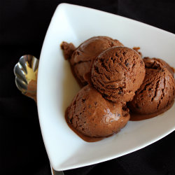 Chocolate Cocoa Nib Ice Cream