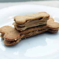 Peanut Butter Dog Treats