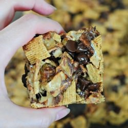 Peanut Butter S’mores Bars