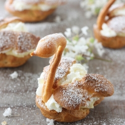 CHOUX SWANS