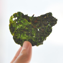 Dinosaur Kale Chips