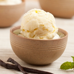 Vanilla Bean Ice Cream