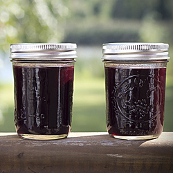 Elderberry Jelly