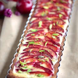 Plum Frangipani Tart