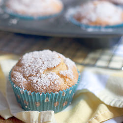 Orange Blossom Muffins