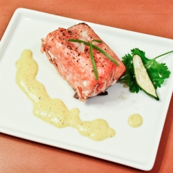 Salmon