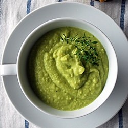 Cream of Avocado Soup