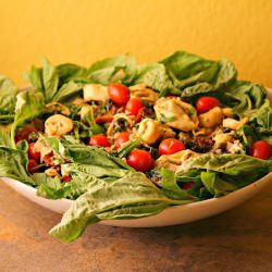 Summer Tortellini Salad