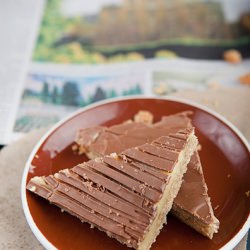 Caramel Slice