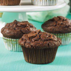 Double Chocolate Gluten Free Muffin