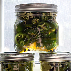 Pickled Jalepenos