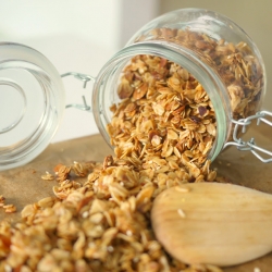 A Basic Granola