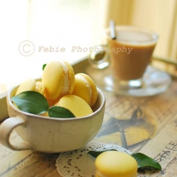 lemon macarons