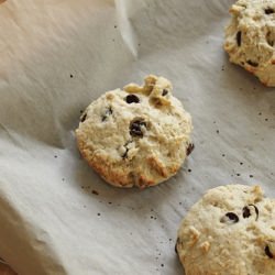 Chocolate Chip Scones