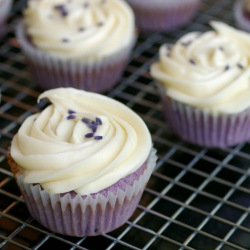 Lavender Honey Cupcakes