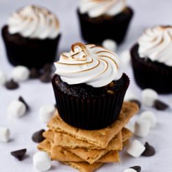 S’Mores Cupcakes