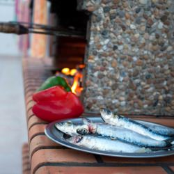 Grilled Sardines