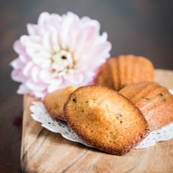 Cranberry Caramel Madeleines