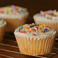 Vanilla Cupcakes for Four